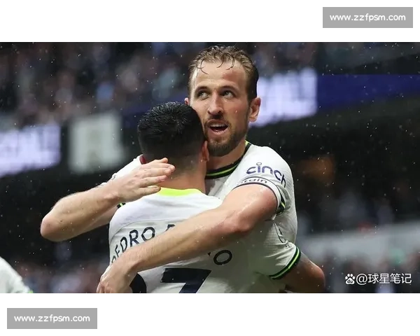 帕利尼亚：埃弗顿主场零封不易，热刺值得掌声